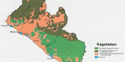 Kartta kasvillisuuden Liberian kartta